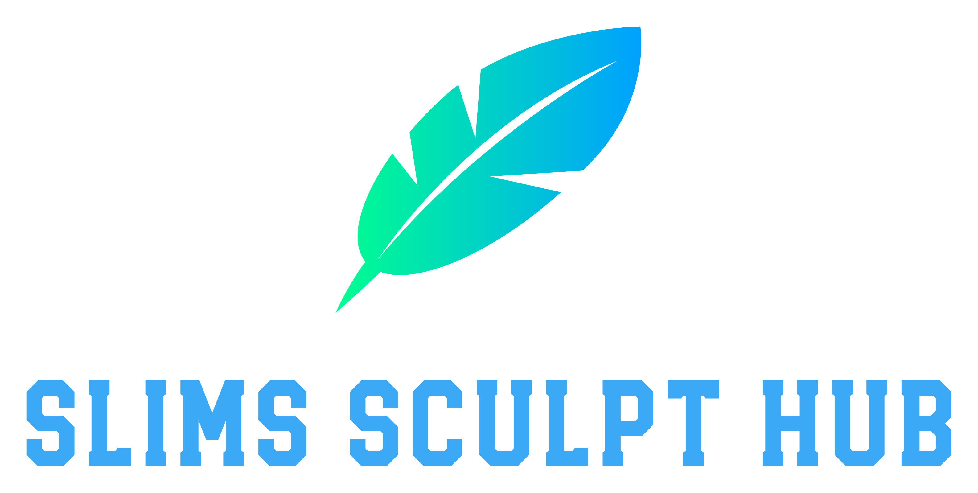 slimssculpthub.com